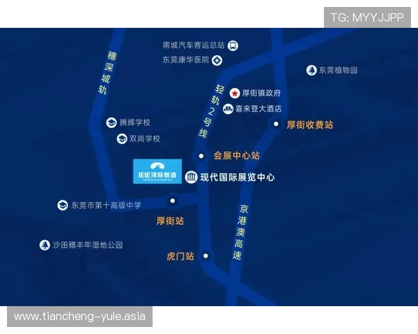 新澳门娱乐官网多样化游戏类型,满足不同玩家的多元需求 新澳门娱乐官网多样化游戏类型,满足不同玩家的多元需求